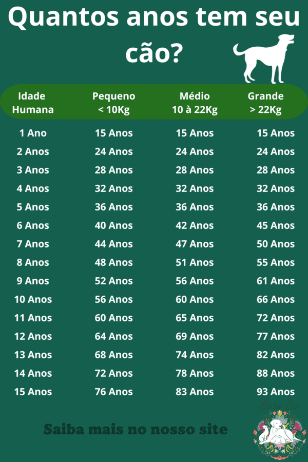 tabela de como calcular a idade do seu cão