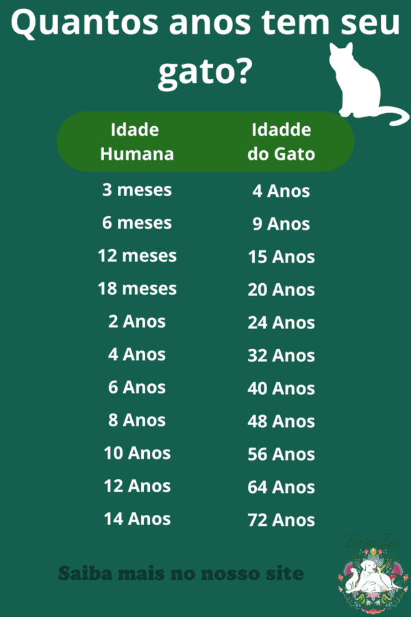 tabela de como calcular a idade do seu gato